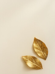 dried bay leaf