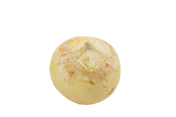 Roasted Coconut isolated on Transparent Background , PNG.