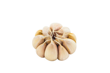 Whole Garlic Bulb isolated on Transparent Background , PNG.