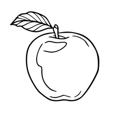fresh whole apple with leaf vector outline