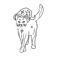 mystical cat in wizard hat line art