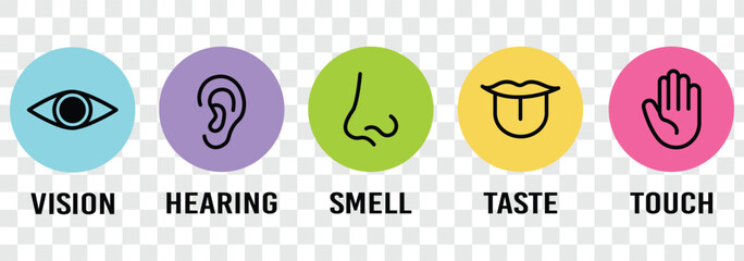Human senses icon set. Vision eye, smell nose, hearing ear, touch hand, taste mouth with tongue. Simple line icons in circle. Five senses of human nervous system. Design eye, ear, nose, mouth.