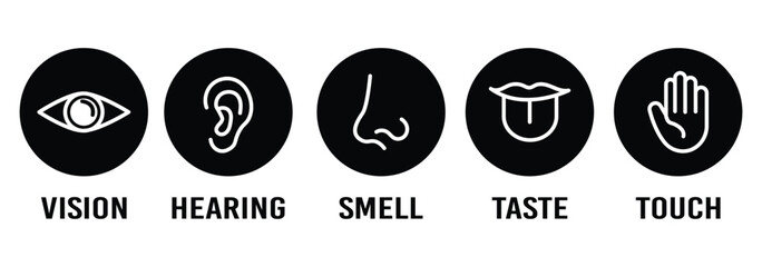 Human senses icon set. Vision eye, smell nose, hearing ear, touch hand, taste mouth with tongue. Simple line icons in circle. Five senses of human nervous system. Design eye, ear, nose, mouth.