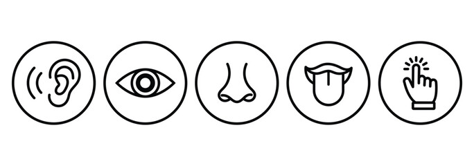 Human senses icon set. Vision eye, smell nose, hearing ear, touch hand, taste mouth with tongue. set of human five senses icon. Visual representation of human senses.