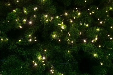 Christmas Tree with Lights Background