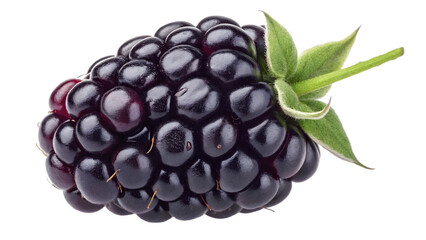 Ripe Juicy Blackberries Isolated on Transparent Background Perfect for Digital Artwork and Graphics