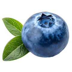 Realistic Blueberry Fruits with Leaves on Clear Background for Culinary Illustrations