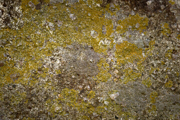 表面に苔の生えた茶色い石のクローズアップ。石や岩のテクスチャー