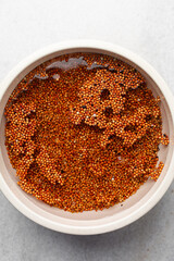 Overhead view of soaked red guinea corn, top view of Red guinea corn also known as sorghum