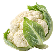 Fresh Cauliflower Head with Green Leaves Isolated on Transparent Background High Resolution Raster Image