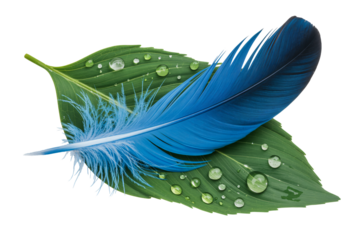 Tranquil blue feather rests gently upon fresh green leaves with dew