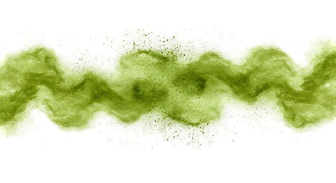 Serpent of Chlorophyll / Ribbon of Sylvan Dust
