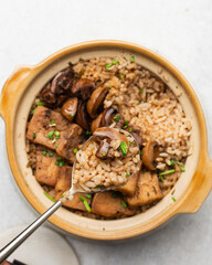 Overhead view vegan claypot rice in spoon, top view of crispy rice in a silver spoon