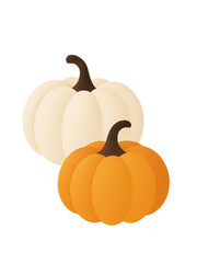 pumpkin isolated on white background