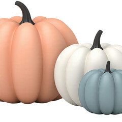 pumpkin on a white background