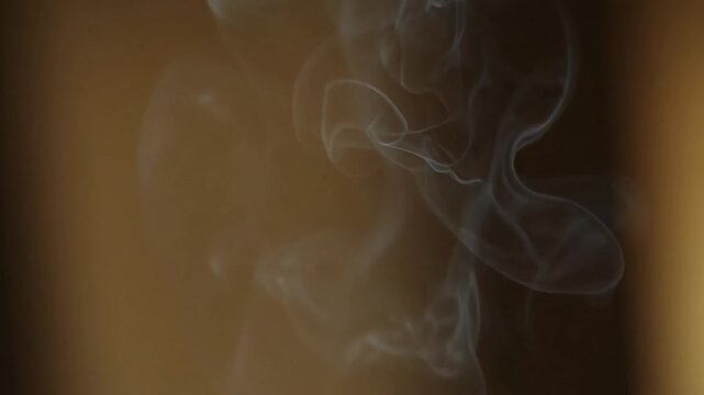 Abstract flowing torus shape animation with seamless motion in dynamic neutral light, perfect for modern design projects or technology backgrounds and creative visuals