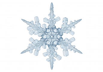 Intricate Ice Crystal Structure isolated on a transparent background