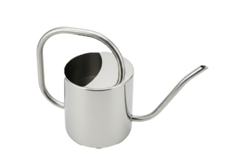 Stainless Steel Watering Can for Indoor Plants
