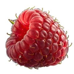Juicy Red Raspberry Macro Isolated on Transparent Background for Stock Use