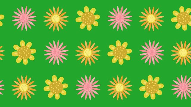 Seamless pattern of stylized vibrant flowers cartoon on a green screen background animation. Repeat wallpaper with a cheerful daisy and floral icons. Summer garden and bloom seamless tile decoration.
