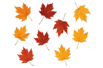 Maple leaves in autumn colors floating, fall foliage, season change, nature, transparent background