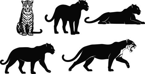 Panther leopard poses, silhouette and detailed, sitting, walking, lying, roaring motion, black vector, isolated animal set, anatomy reference