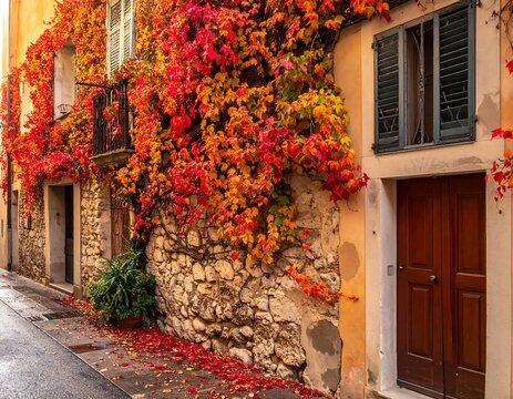 Rustic Italian street scene, stone and plastered buildings, covered in vibrant fall foliage