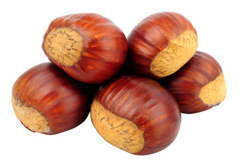 Group of sweet European sweet chestnut also known as Spanish chestnuts and gathered in Autumn isolated on a white background