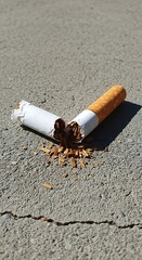 Discarded Cigarette Butt on Cracked Pavement - An Environmental Hazard.