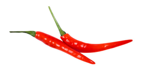 Red hot pepper