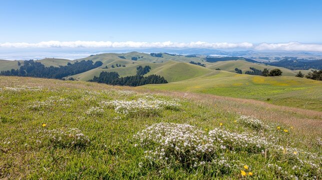 Expansive panoramic view of rolling hills dotted with soft clouds, inviting exploration