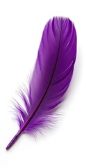 Vibrant Purple Feather - A Symbol of Lightness and Grace.