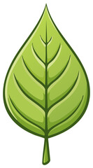 Obraz premium Stylized Green Leaf with Detailed Veins and Stem