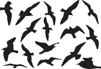 Seagulls Silhouettes in Flight, Vector Illustration.