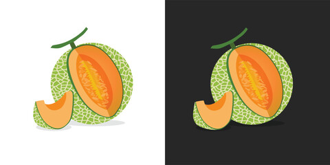 Cut Cantaloupe melon, fruit vector, Fresh green Cantaloupe Melon fruit and pieces. Sweet organic melons for juice, smoothie or vitamin healthy food. Vector illustration isolated on Black and White