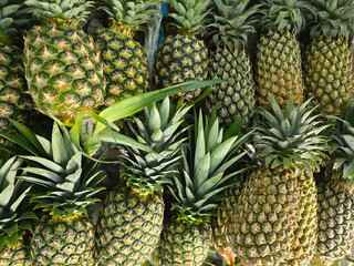 Fresh Pineapples Displayed for Sale at Market Stall