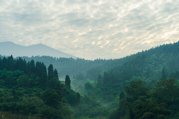 Misty green forest covering mountain hills, perfect for outdoor adventure and nature travel.