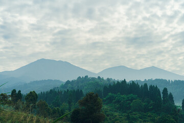 Lush green forest with morning fog over mountain hills, perfect for nature and travel adventures