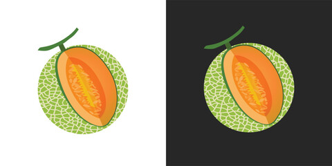 Cantaloupe melon, fruit vector, Fresh green Cantaloupe Melon fruit and pieces. Sweet organic melons for juice, smoothie or vitamin healthy food. Vector icon illustration isolated 