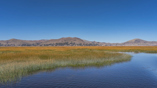 Beautiful alpine lake. Thickets of totora reeds on the water. Mountains against a clear blue sky. Peru. Lake Titicaca.