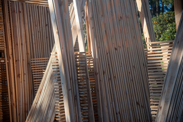 Processed Wood for Sale