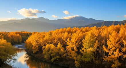 Obraz premium Golden Forest and Far Mountain Reflection