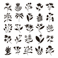 Set of plant silhouette vector, hand drawn flower and leaves
