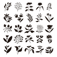 Set of plant silhouette vector, hand drawn flower and leaves

