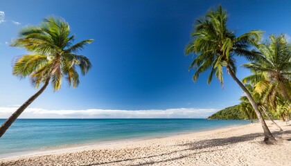 Tropical Beach Landscape with Palm Trees and Blue Ocean Sky