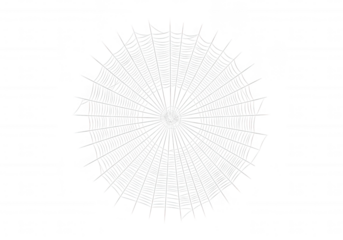 Intricate white web radial pattern isolated on a transparent background