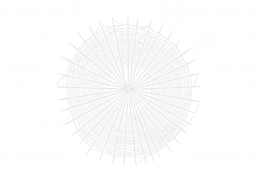 Intricate white web radial pattern isolated on a transparent background
