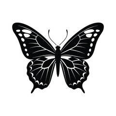 butterfly vector illustration. Silhouette of a butterfly flying vector image 