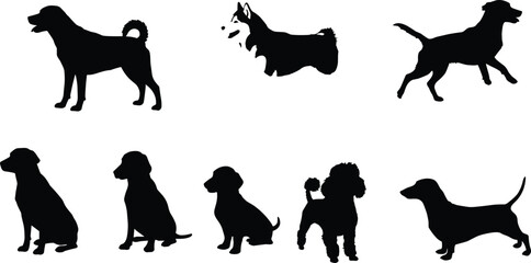Dog silhouettes collection vector, different dog breed shapes black outline illustration, domestic pet animals standing and sitting isolated on white background design