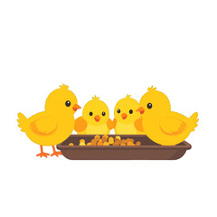 Adorable Group of Yellow Chicks Eating Grain from Brown Rectangular Bowl on White Background Vector Illustration